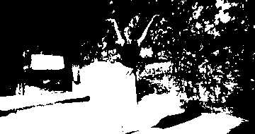 IMG-9991.gif