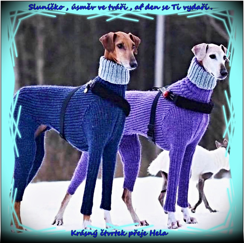 čtvrtek20.2.2025úpr