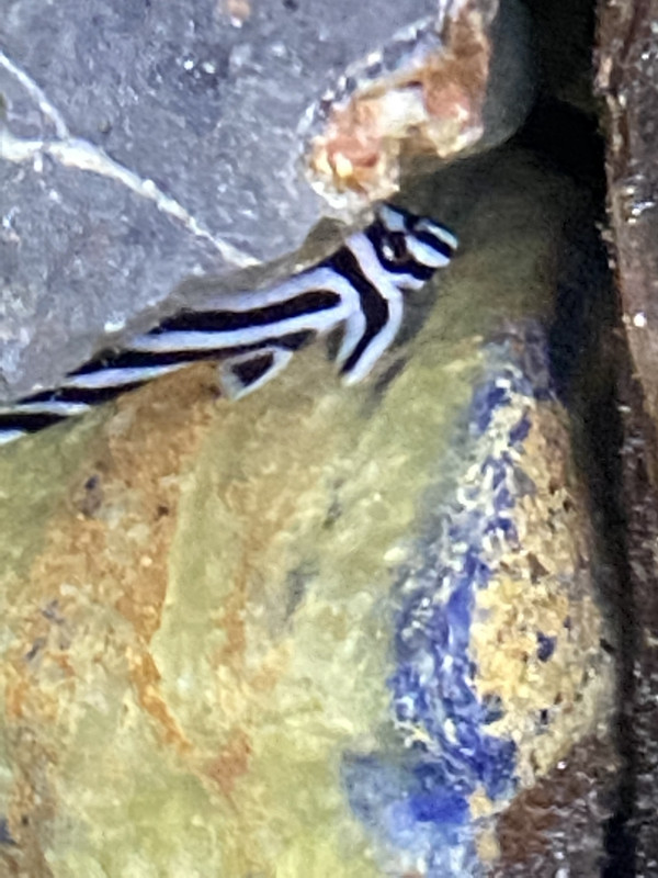 4BC57CF2-D4D4-45E3-87BF-FA9A0E5A4004