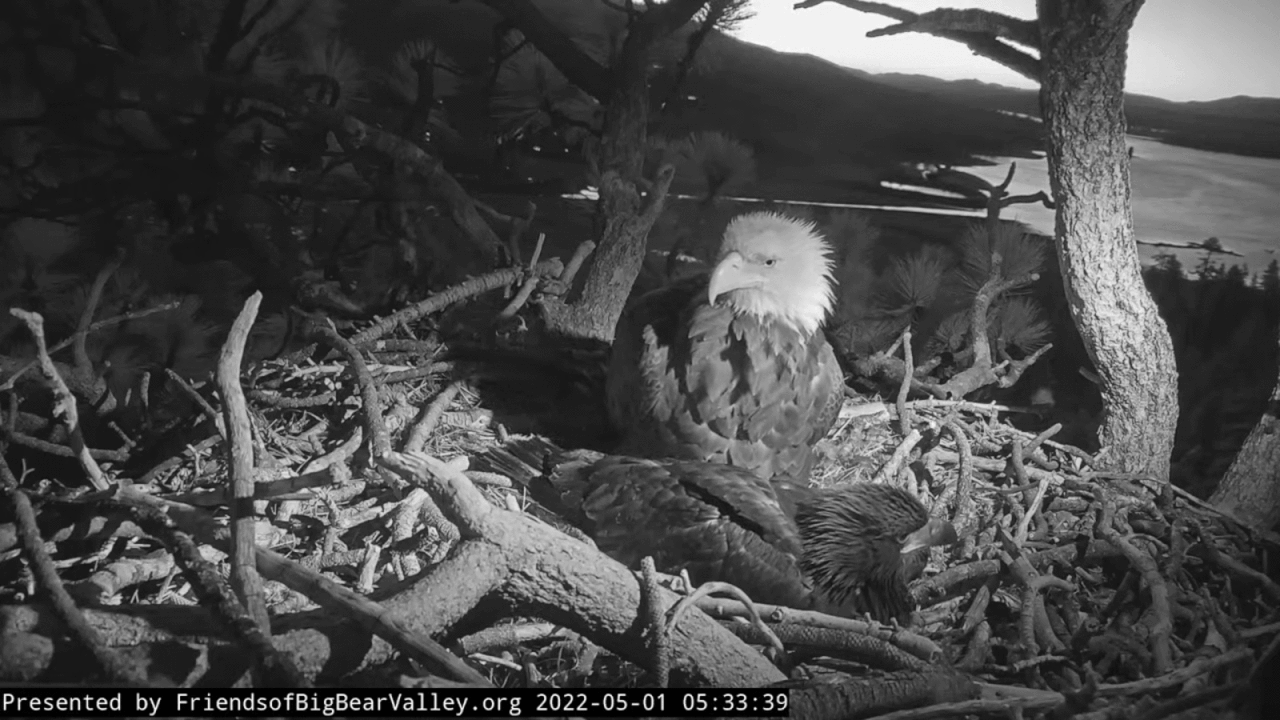 Webp.net-gifmaker (4)