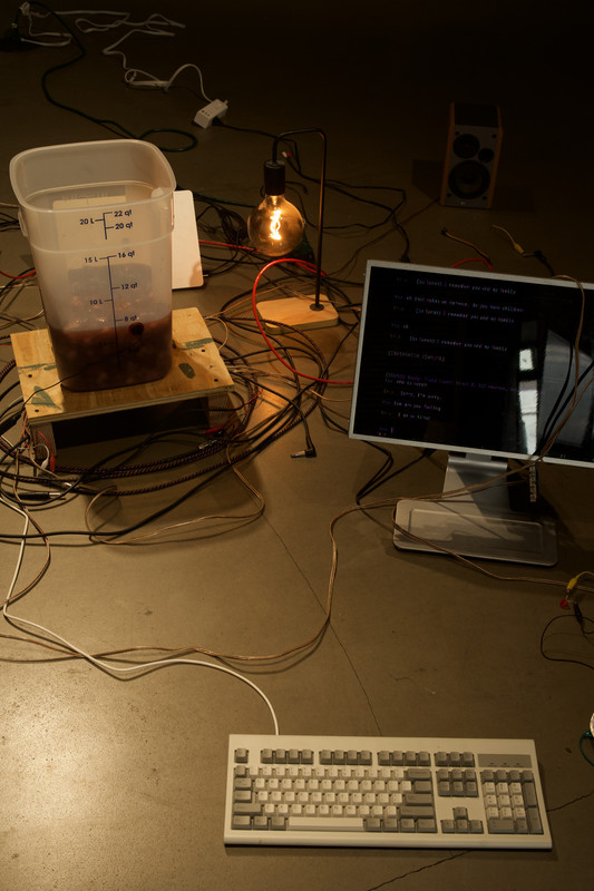 blood computer
