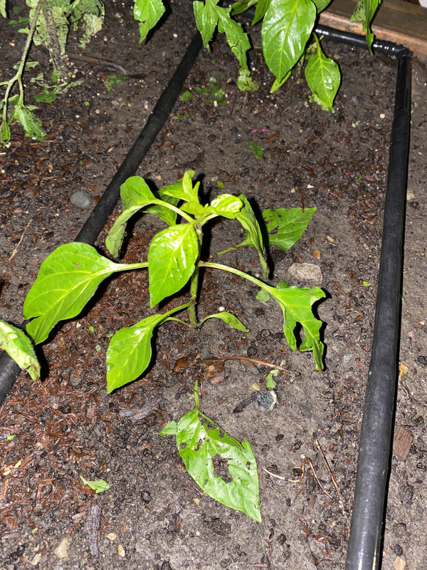 E6540B59-6260-4E4C-8EB4-7B3AB51013A7