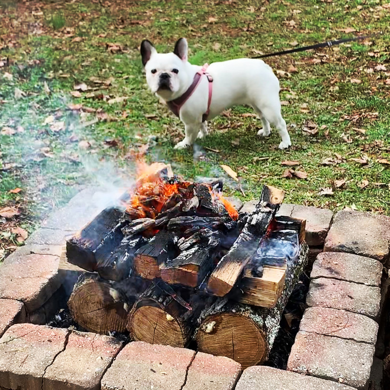 CB0C1083-0CD9-43B0-8ADE-B93B1B2ADB83