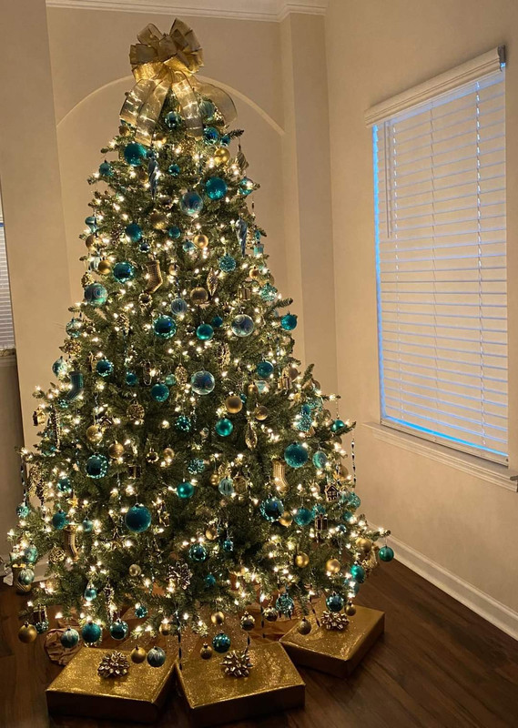 FB_IMG_1606504654673