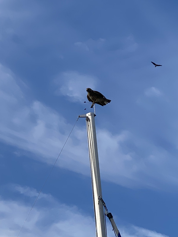 EFEE9583-7994-481B-9755-91A2D10AD614