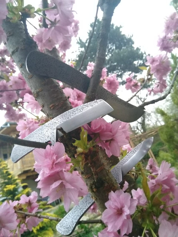 Японски сет 2