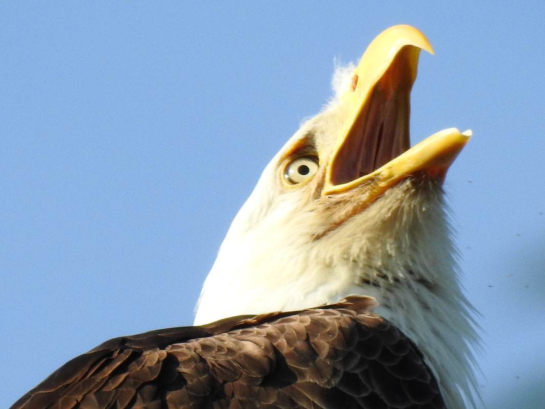 8E46E9A6-5FCD-4806-A8C7-E61F1454C453