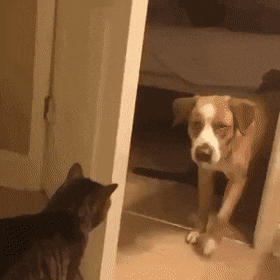 not-nice-2.gif