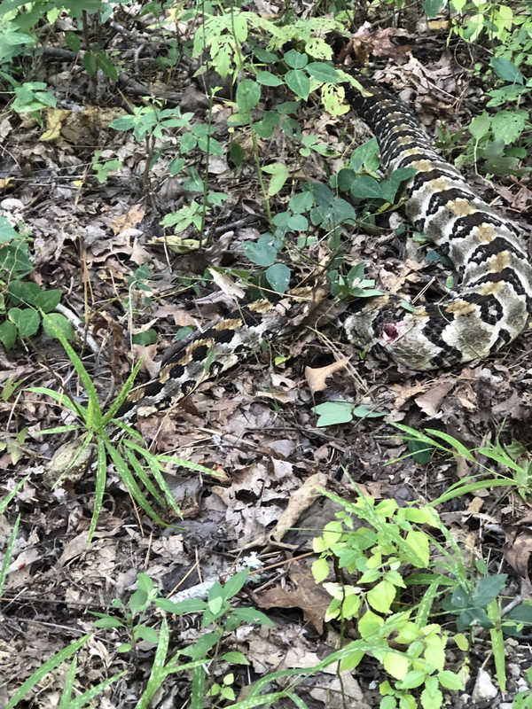 F197D16D-D82B-4F26-A299-0E906D560E6C