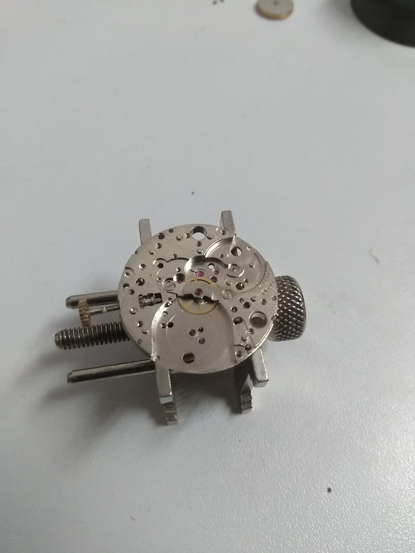 68419354_1574289149373464_6738508648940568576_n