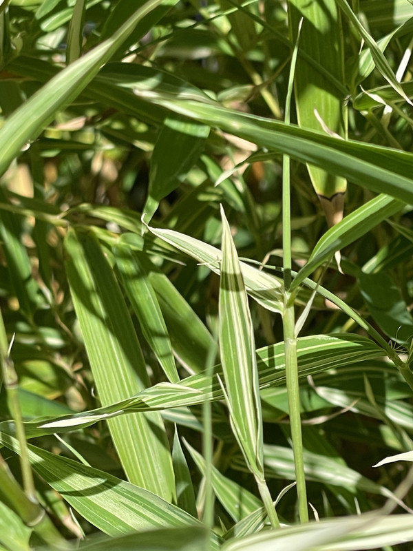 58DE7461-69E5-40DA-B9F3-3DF246D4302A