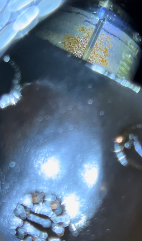 CFE00EB8-FDA2-47E5-AB82-32B3AEE25801