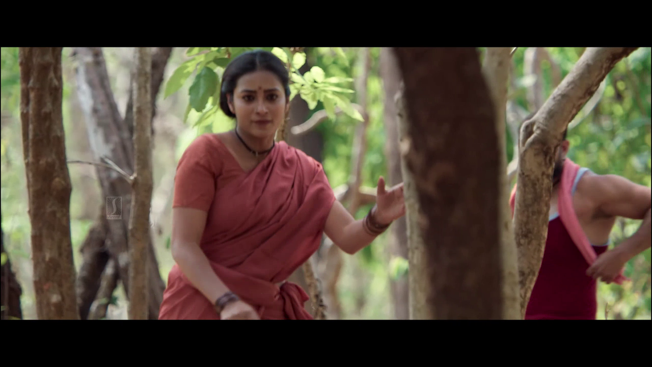 vlcsnap 2025 11 02 13h50m11s845