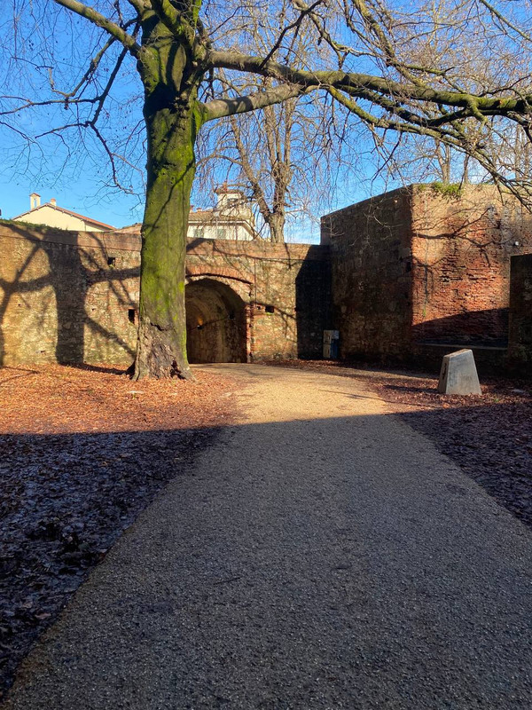 photo 2026 02 15 16 20 56