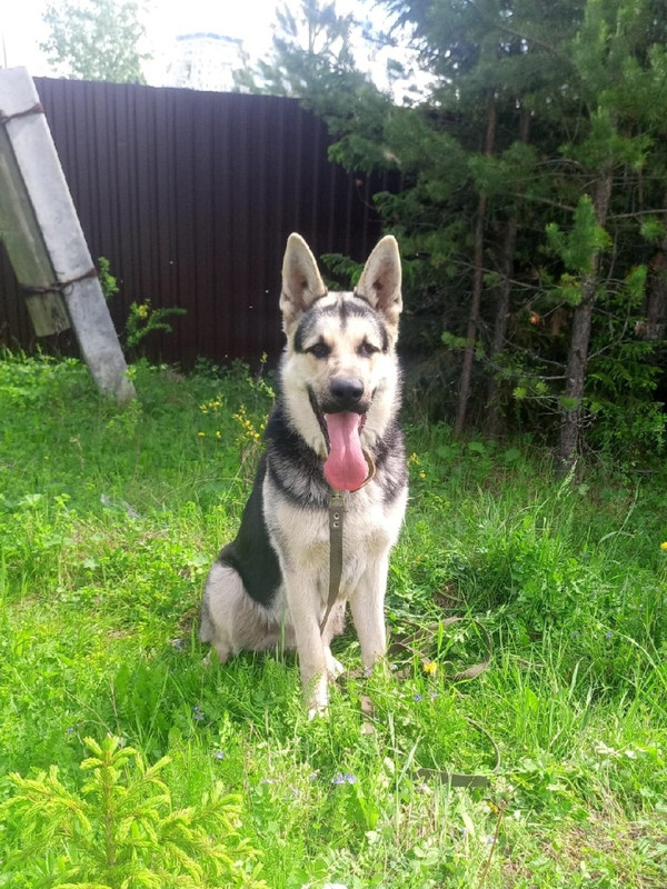 sUE8C3Cu65IvCWwN_pZ_X9hePgXSPfiYau5zmnESNRM1dQmLwsPMoGyECUBweNGwXib_VY36sJTld8Bw8YhRhDGm