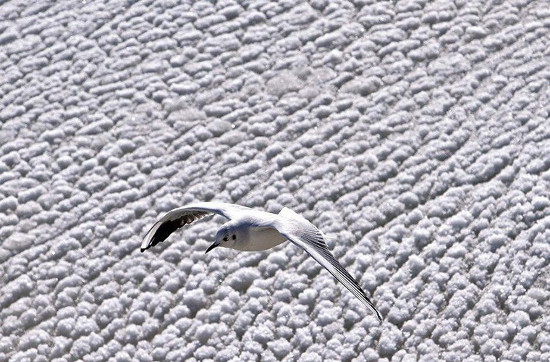 [Image: chimbay.jpg]