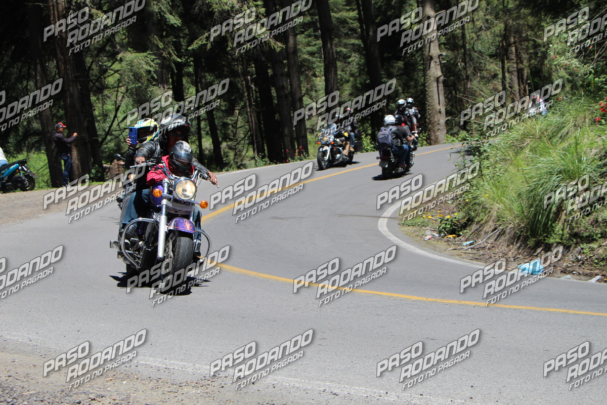 IMG 6701 wm 21274022 2 watermarked — Postimages