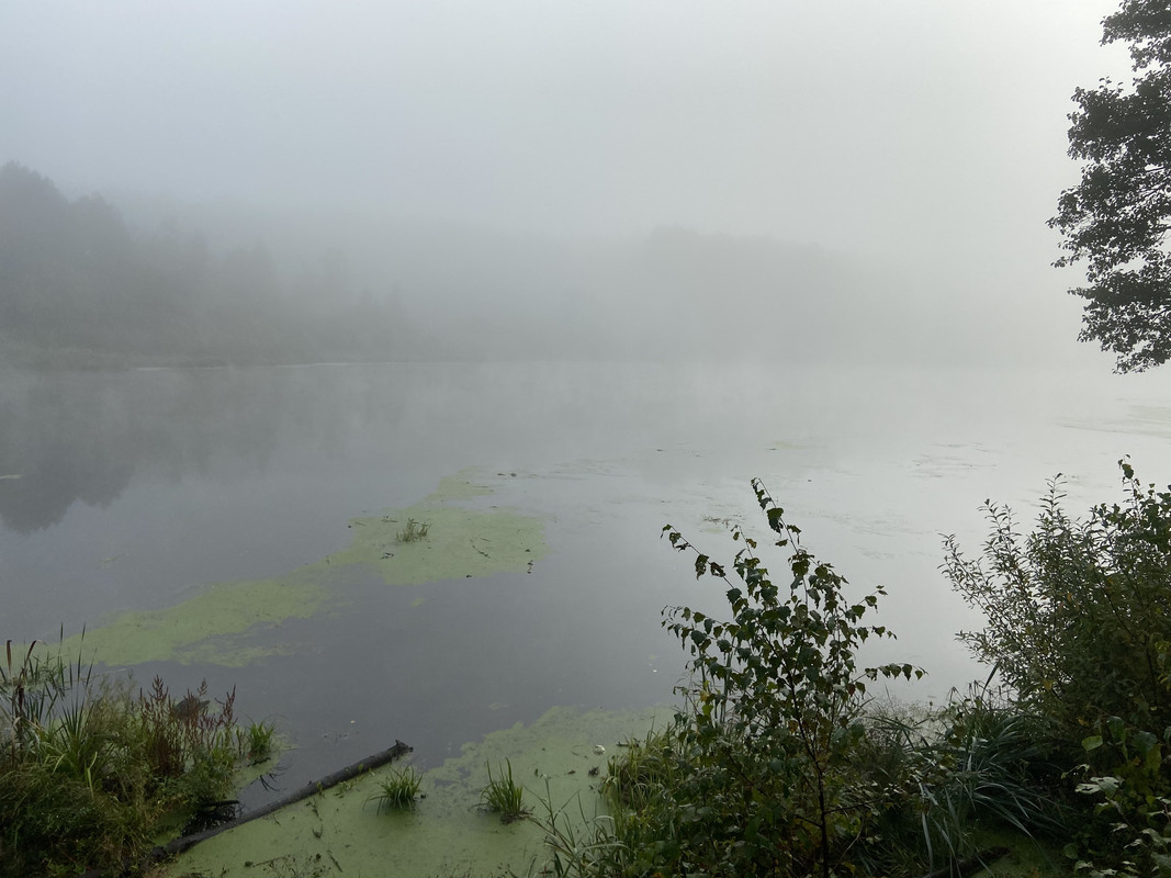 36A89AE4-5A7C-458C-8FB8-F5D5DB994AA8