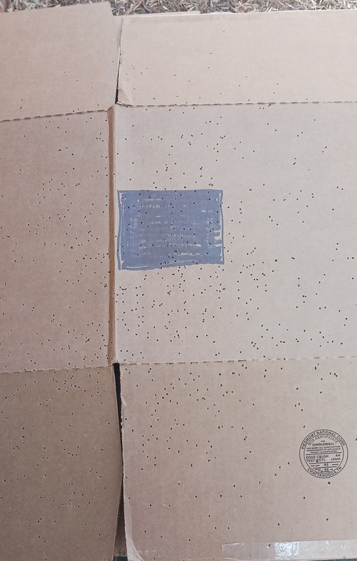 [Linked Image from i.postimg.cc]