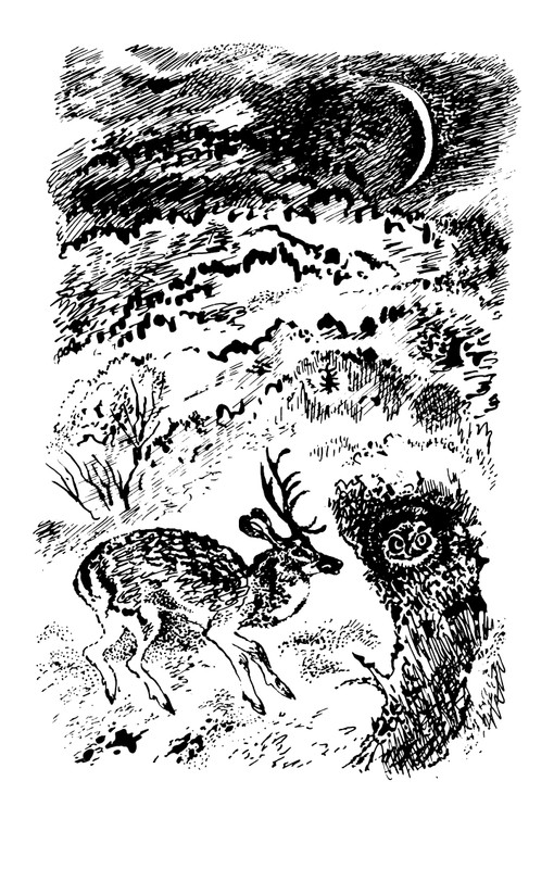 1993-page-0173