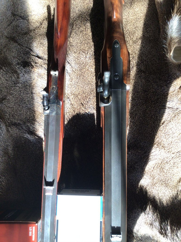 B701C50C-0F62-48BB-8493-71FA877B2EEC