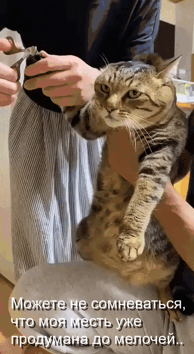 if-gif-gif-gif-gif-gif-gif