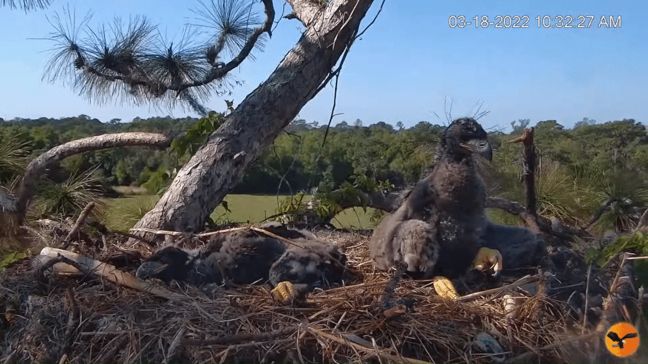 Webp.net-gifmaker (2)