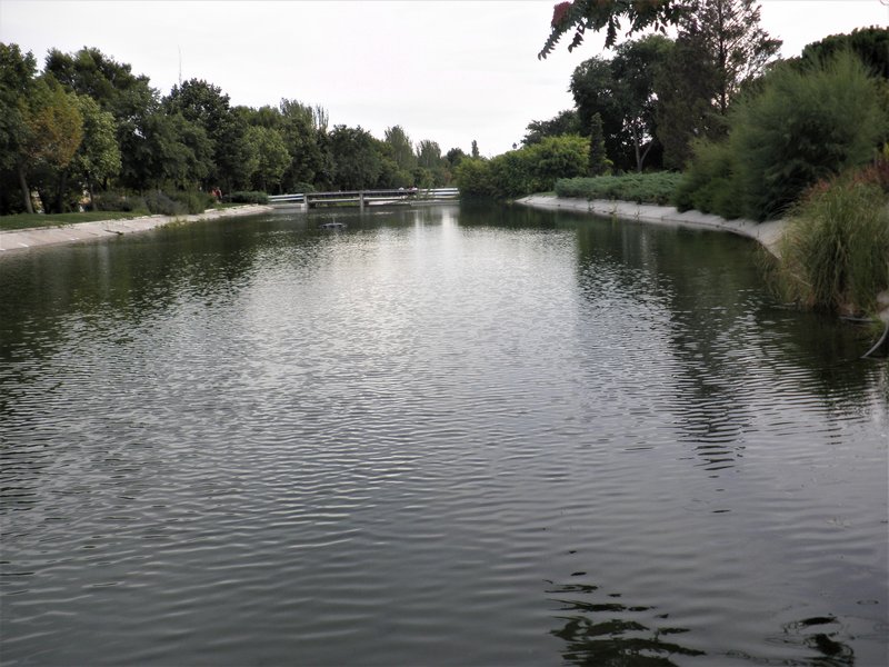 PARQUE ENRIQUE TIERNO GALVAN-2013 AL 2017-MADRID - Paseando por España-1991/2017 (31)