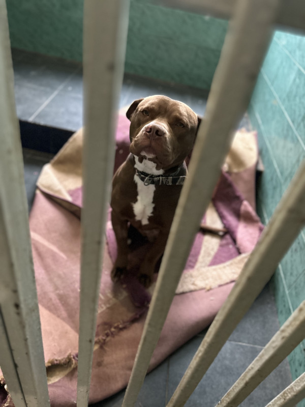 6577A2C2-F84C-4177-A1AE-C49B08950592