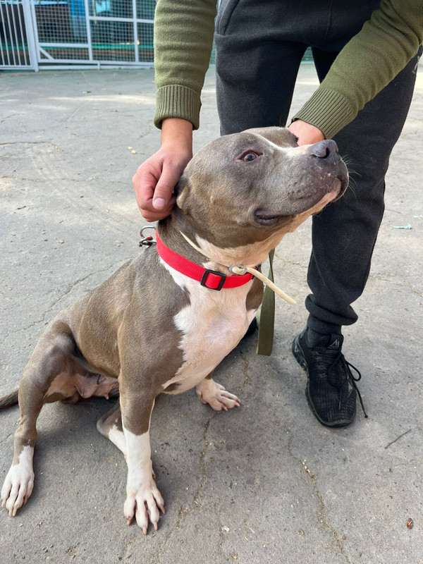 WhatsApp Image 2022-09-13 at 13.01.32 (2)