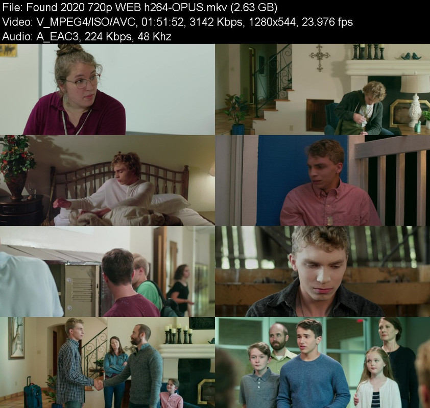 found-2020-720p-web-h264-opus.jpg
