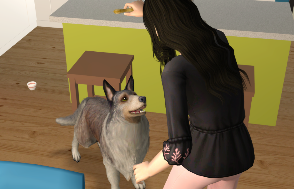 Sims2-EP9-RPC-2021-06-29-19-51-54-20