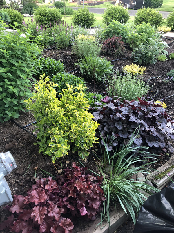 7F107F58-31CA-41AF-99D1-B95B6B366C31