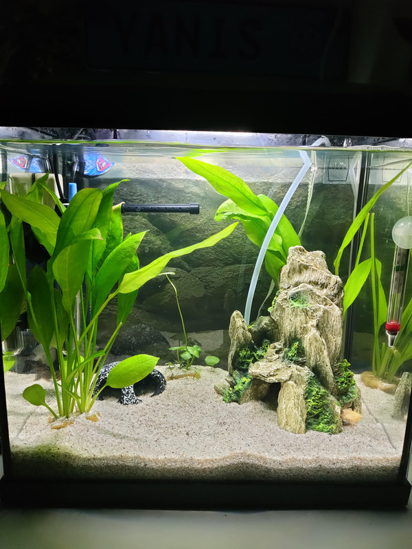 16717762005128238493464835773438