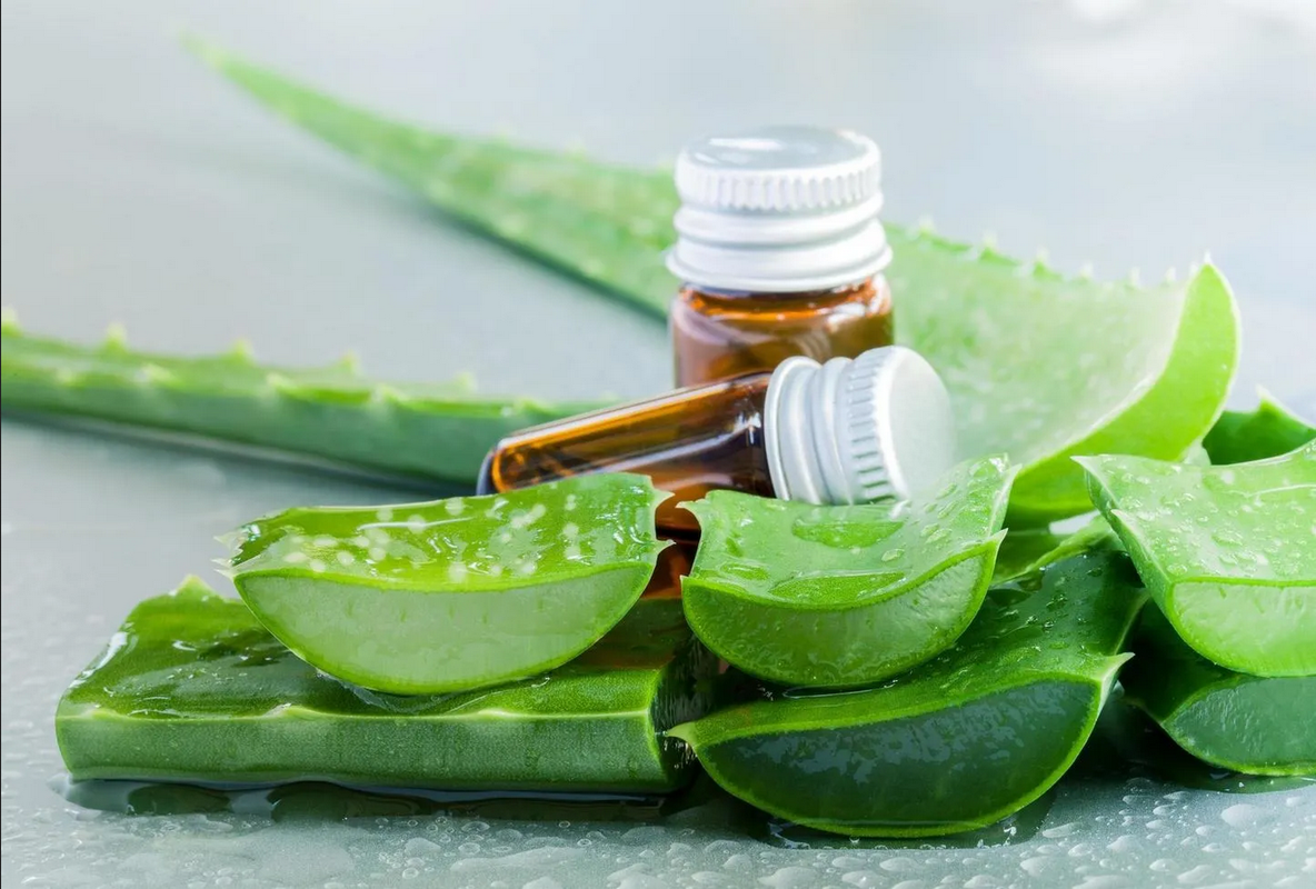 Mascarilla milagrosa de aloe vera y aceite de oliva para cabello seco y dañado: ¡recupera la salud y el brillo!