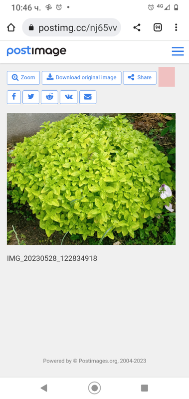 Screenshot_20230601-104715