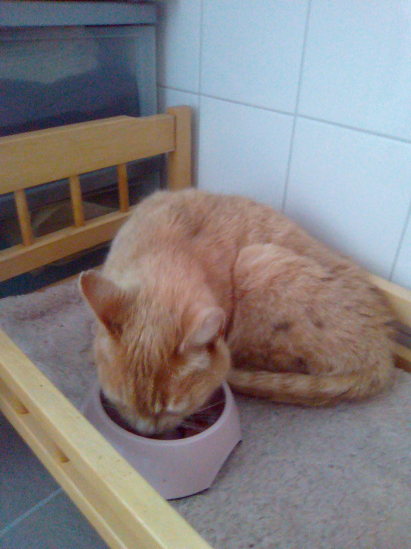 Злата в начале жизни у нас (3)