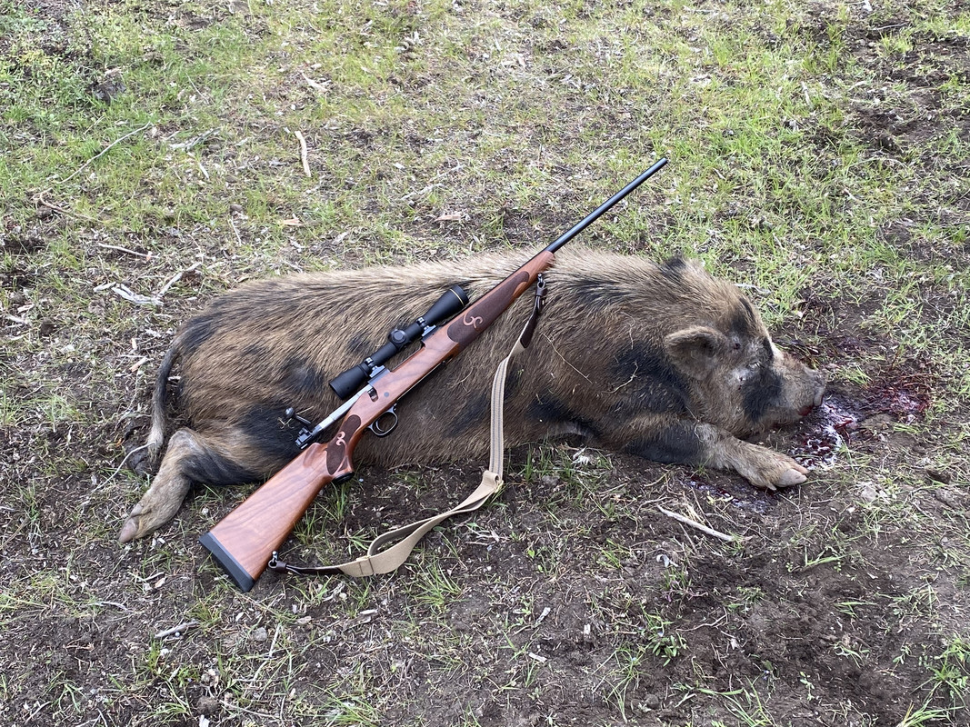 2C719A4D-45CB-470A-8327-992901238274