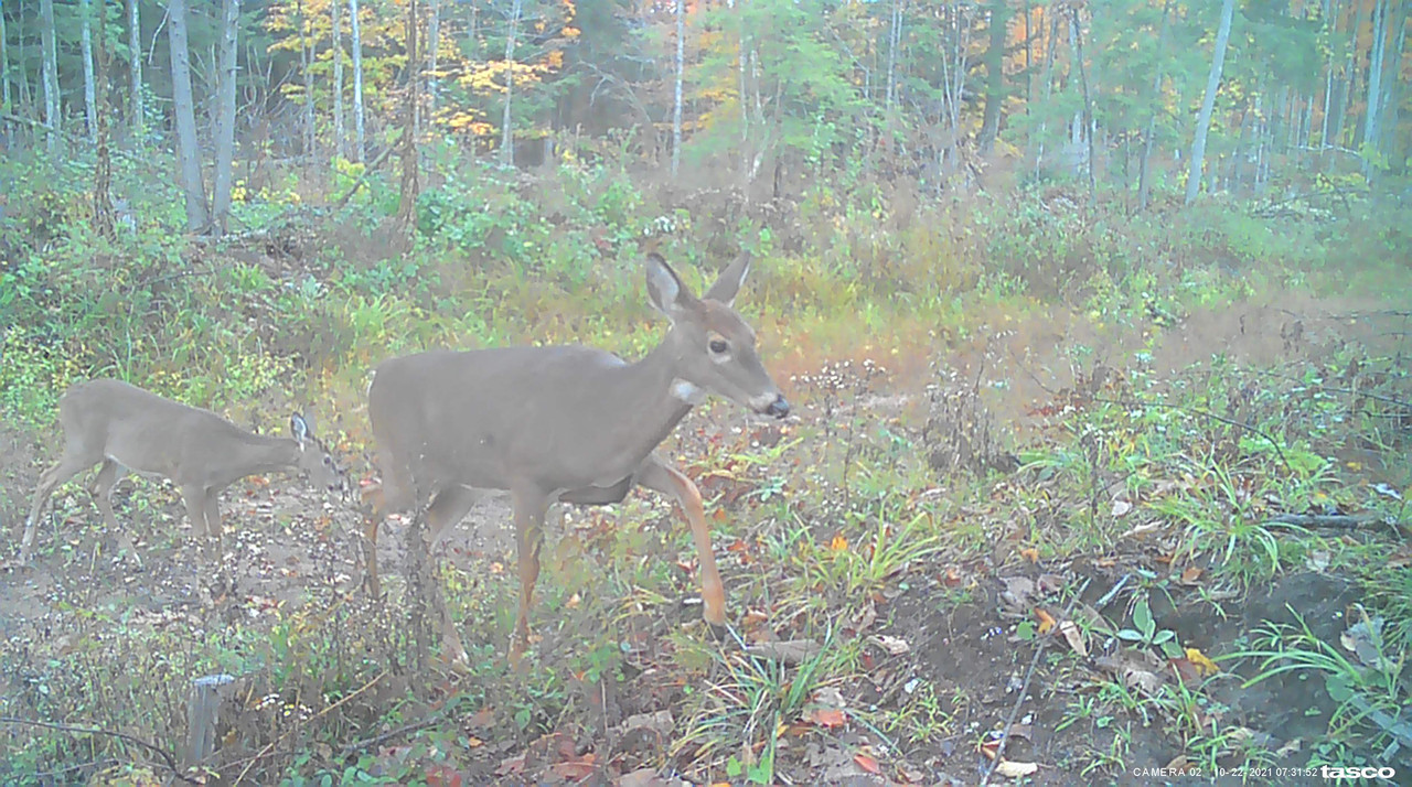 61F6E409-EFDC-4C23-98DC-CD305291F25F