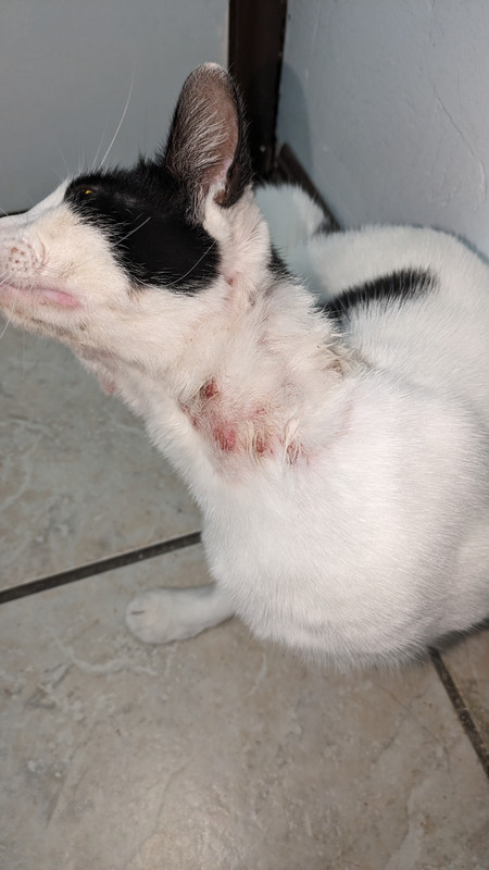 PXL_20240313_055433626