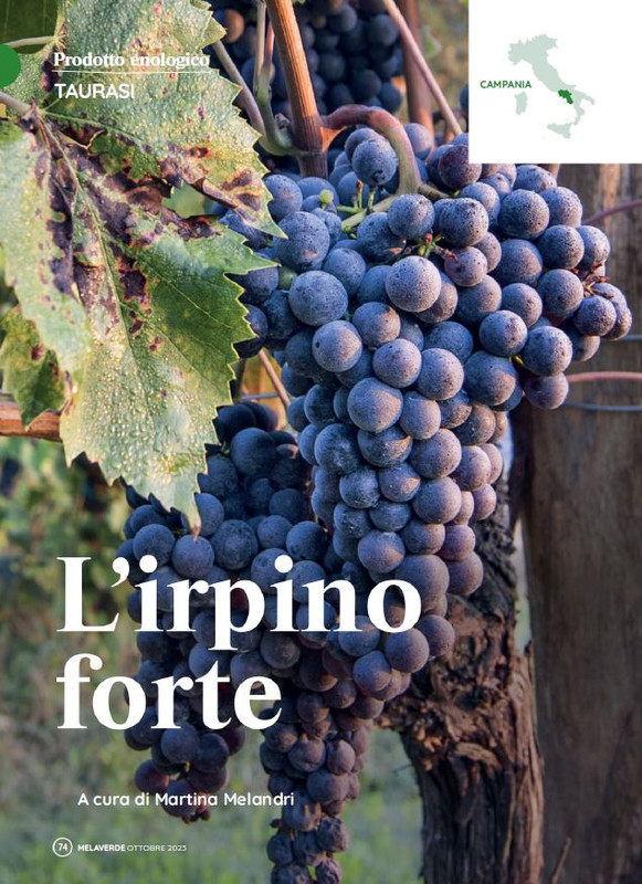 melaverde Ott 2023 (5)