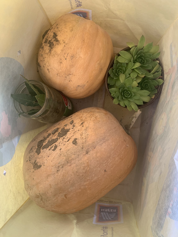 BEEFA4AB-2ABC-4CDE-B058-B177A23B25D9