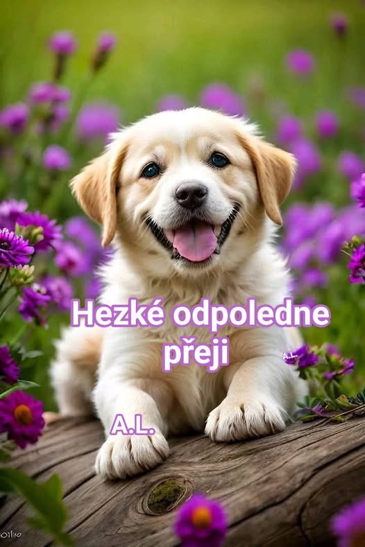 708230537-983075657789674-102466811974556491-n