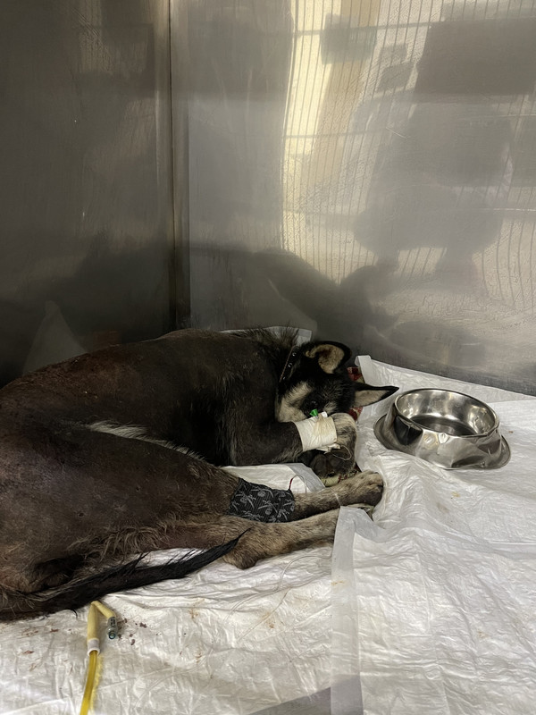 EE327B0B-D3D1-49E4-87CA-E50699016457