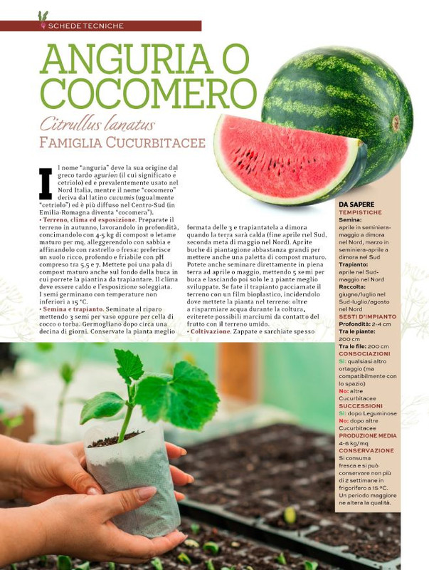 Orto Facile - Il Mio Orto Pratico - Feb-Mar 2024 (5)