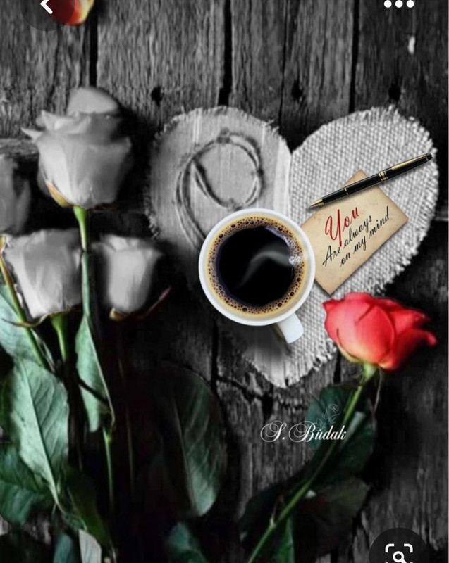 Screenshot_20230731_230759_Pinterest