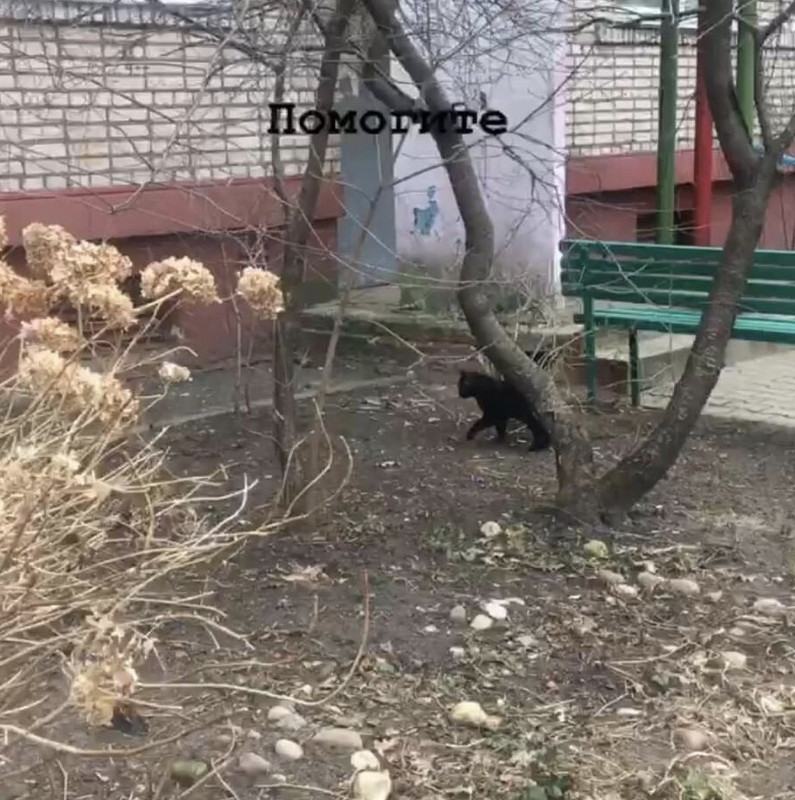 923CD978-1C60-4CDD-A603-F58AEC88CCD5