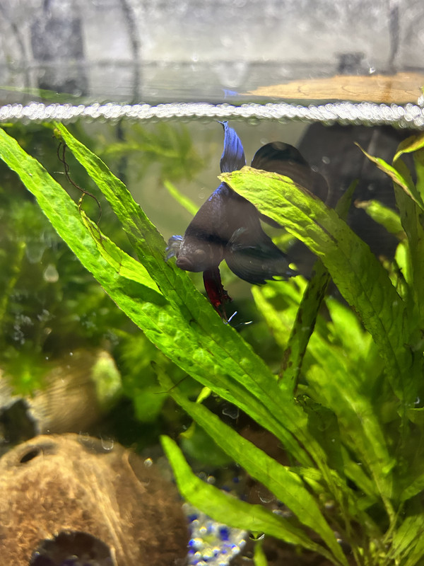 4757C8BE-C4E0-4E8B-B69E-241B8A434621