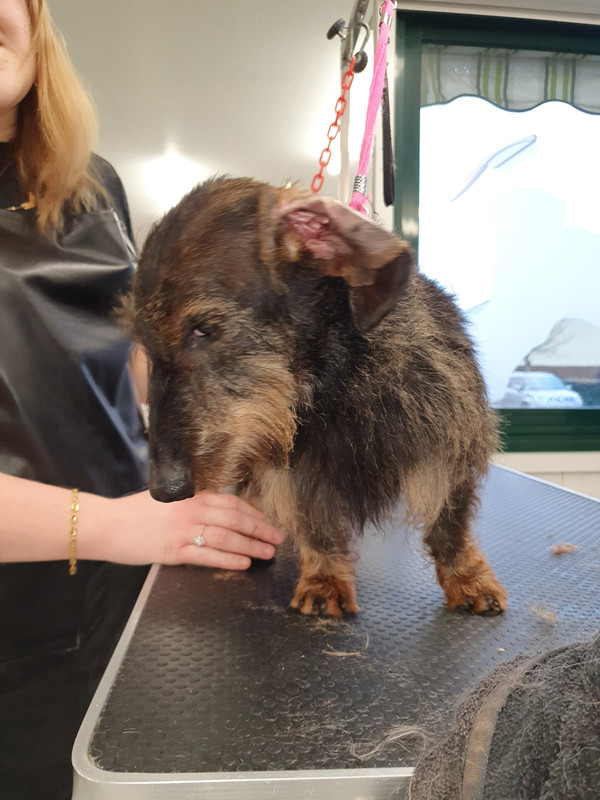 [Image: 20220120-171339.jpg]