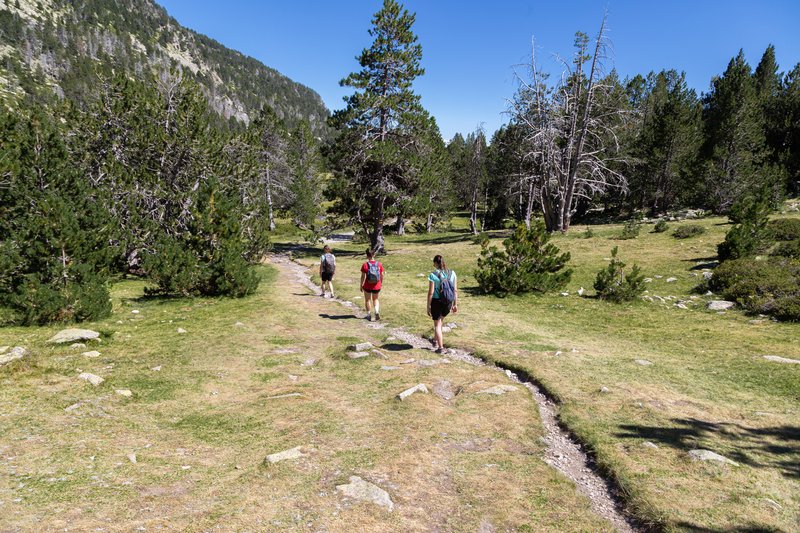 ESTANYS DE LA PERA - CERDANYA: ESTANYS MALNIU, LA PERA, BULLOSES (14)